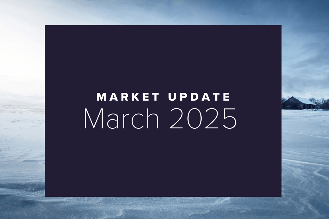 March 2025 Market Update: A Month of Market Turbulence