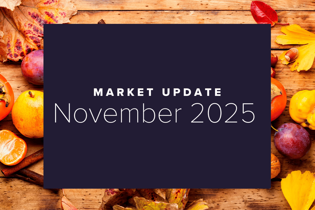 November 2025 Market Update: Risk-Off Reset Amid Shutdown Shenanigans
