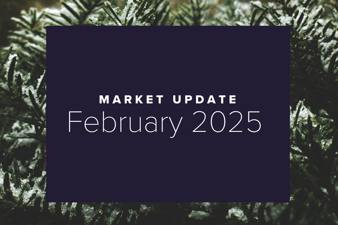 February 2025 Market Update: A Global Divergence