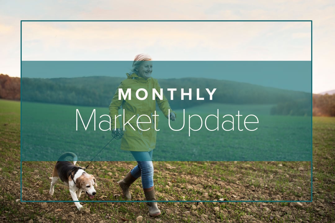 January 2022 Market Update: V is for Volatility