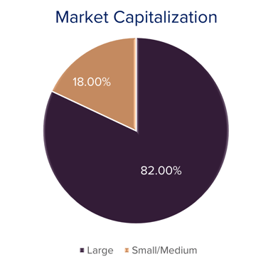 S&P - Market Capitalization 5