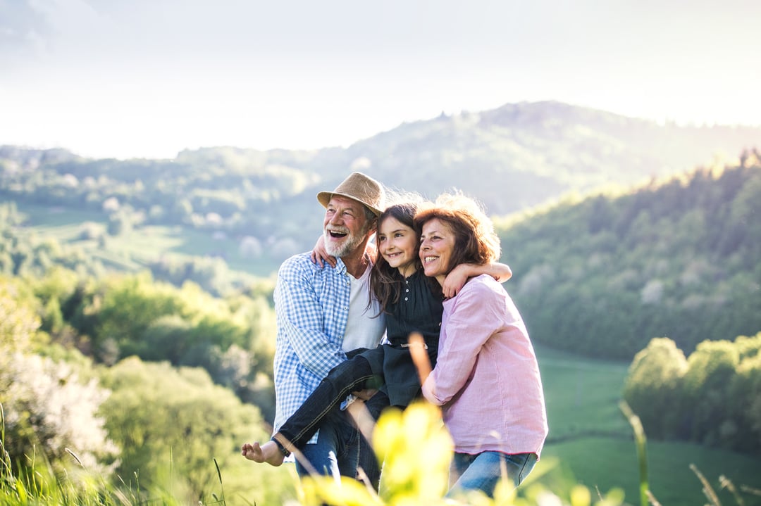 Estate Planning Strategies for the